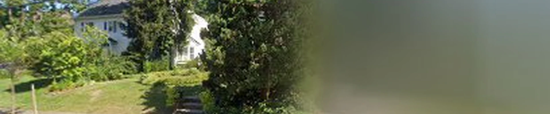 JLS Tree & Landscape