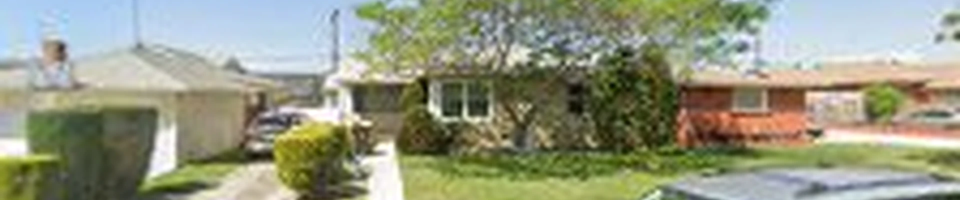 Hawthorne Tree Service