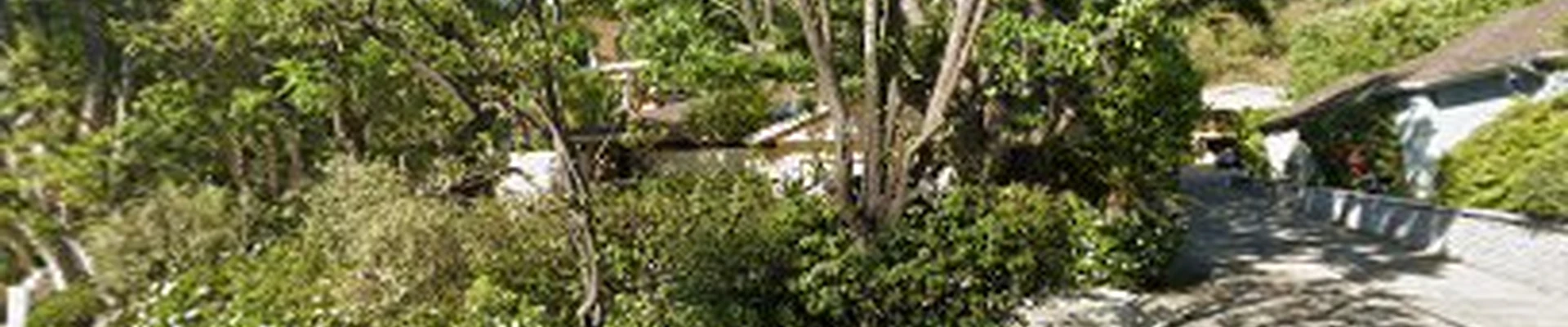 Lopez Tree Service