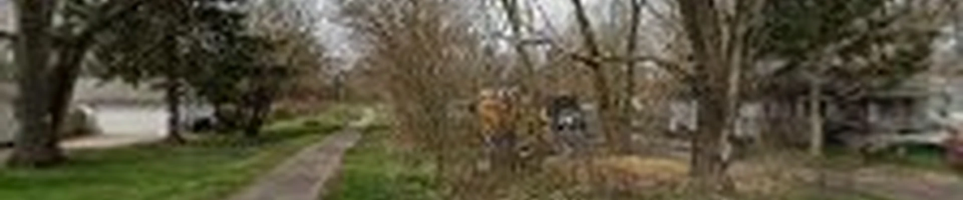 Action's Tree Service
