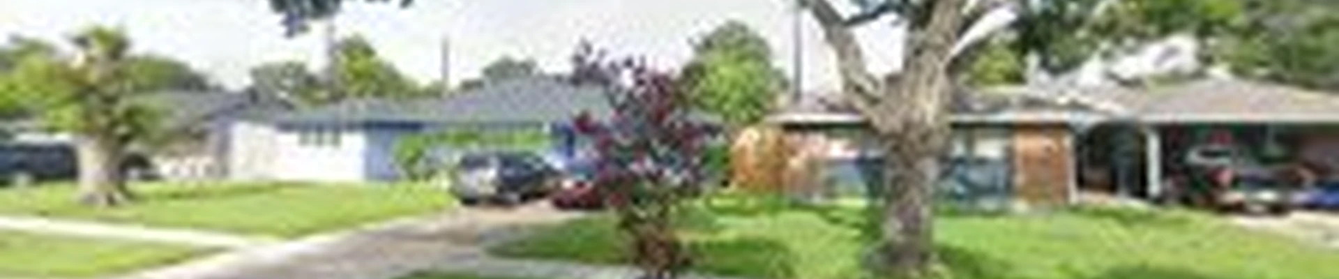 José w. tree services