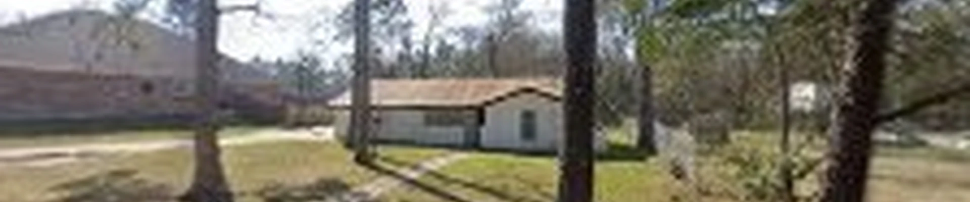 A's Landscape & Tree service