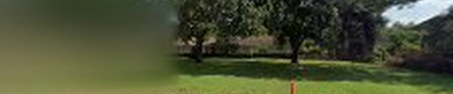 EGE Tree Service