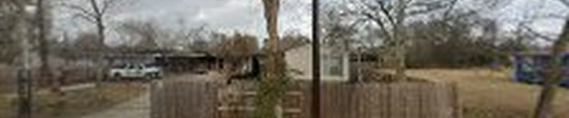 Tree Service Ramirez Tx