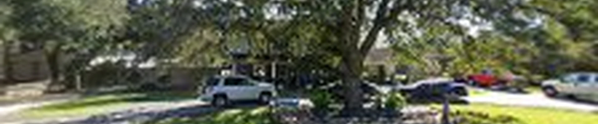 Green Industry Tree Service