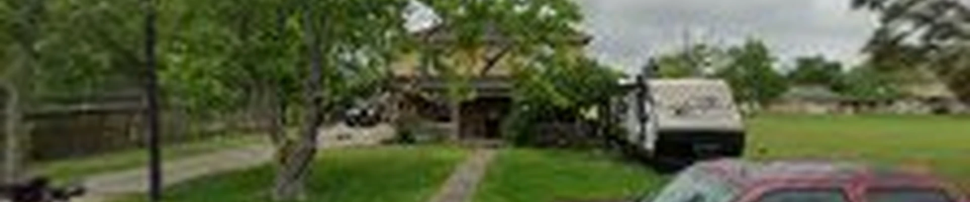 Shane's Tree Service
