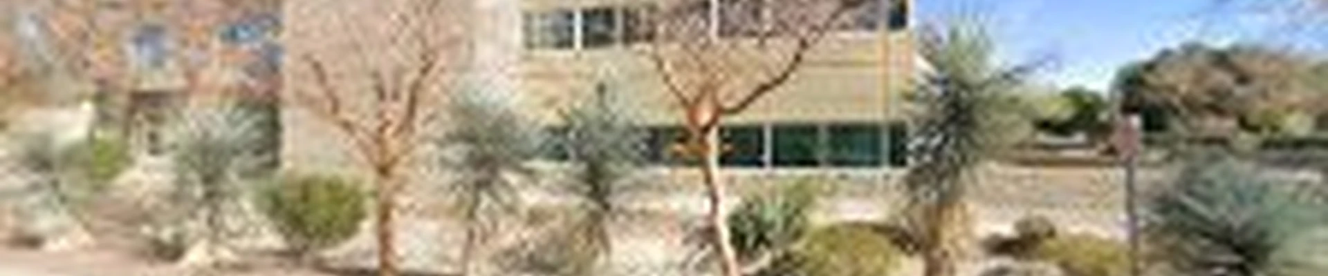 ArborCraft Tree Service Phoenix