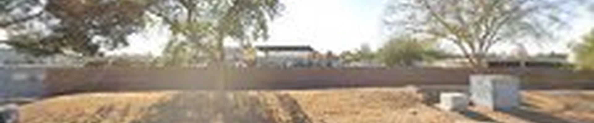 Tree Doctors, Inc
