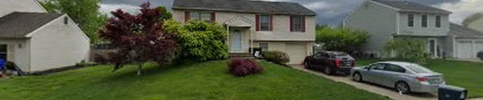 Tom's Tree Service