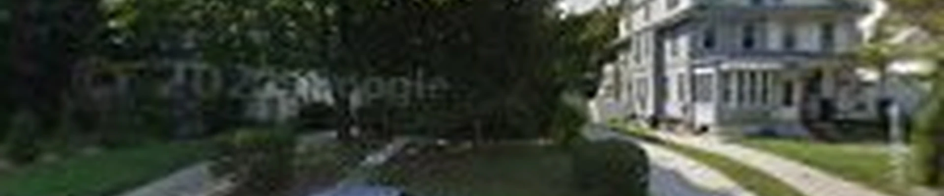 Toribio Tree Service