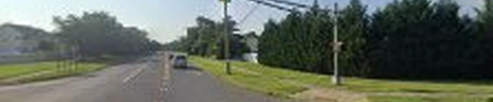 BigTimber Tree Service LLC