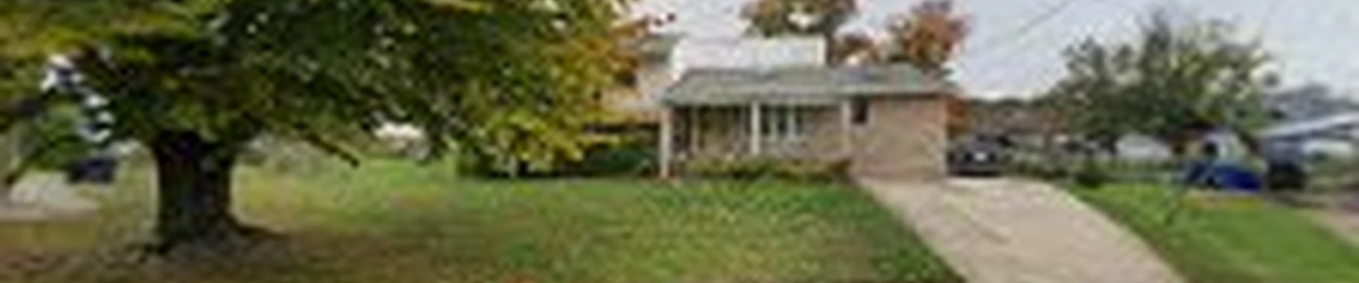 DLM Tree Services