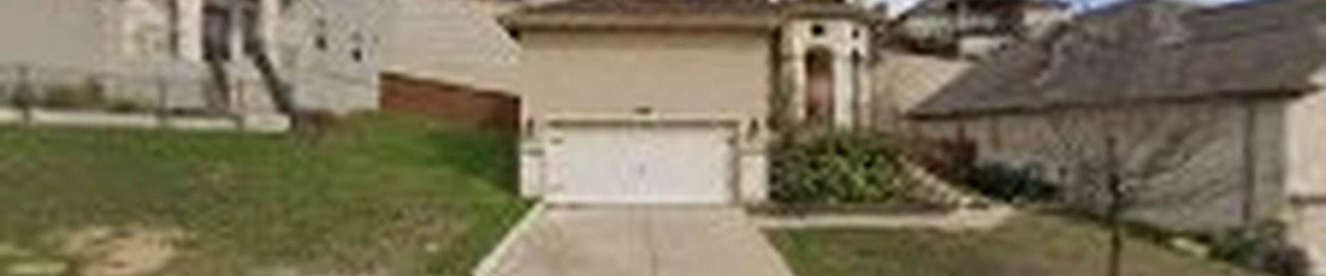 Dream Tree Services