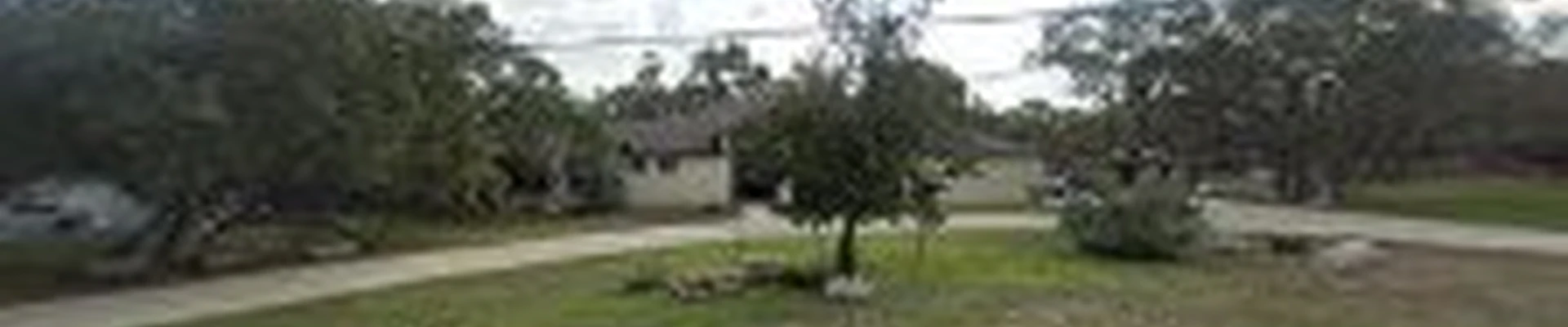Action Tree Service, LLC
