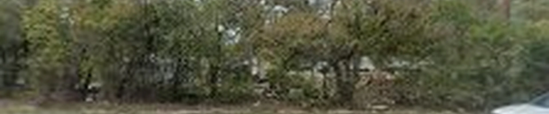 Oak Valley Tree Service