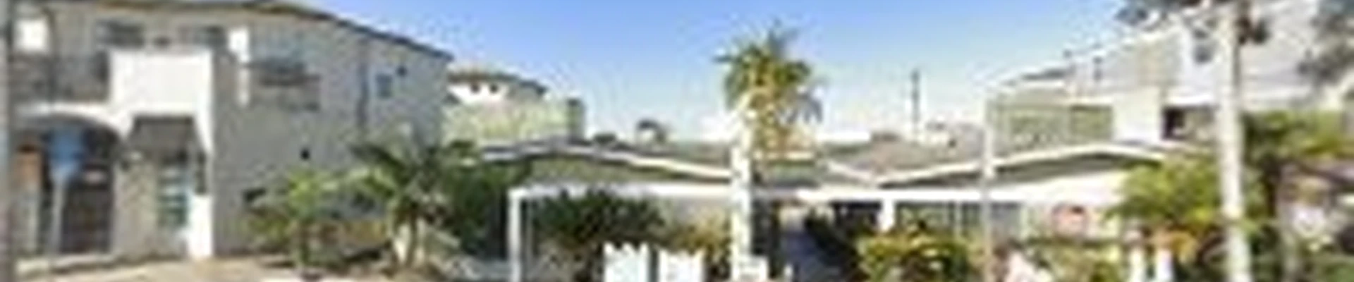 La Jolla Tree Service Experts