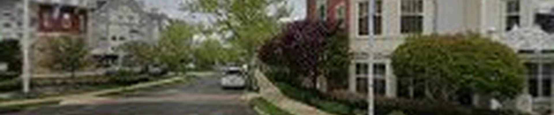 Trees Plus Tree Service Inc.