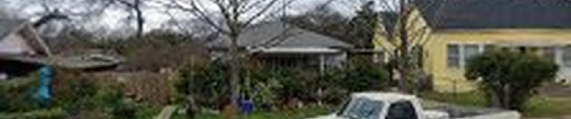 Maya Tree Service