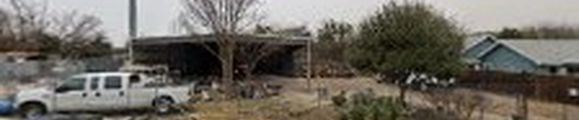Dallas Tree Service
