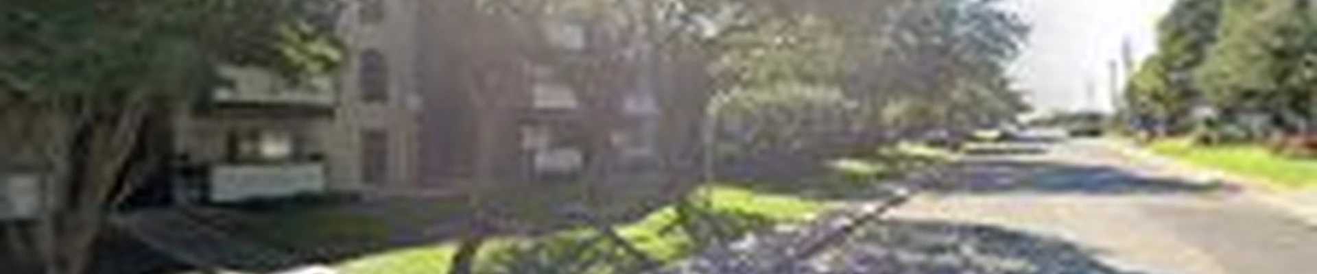 Experts Tree service