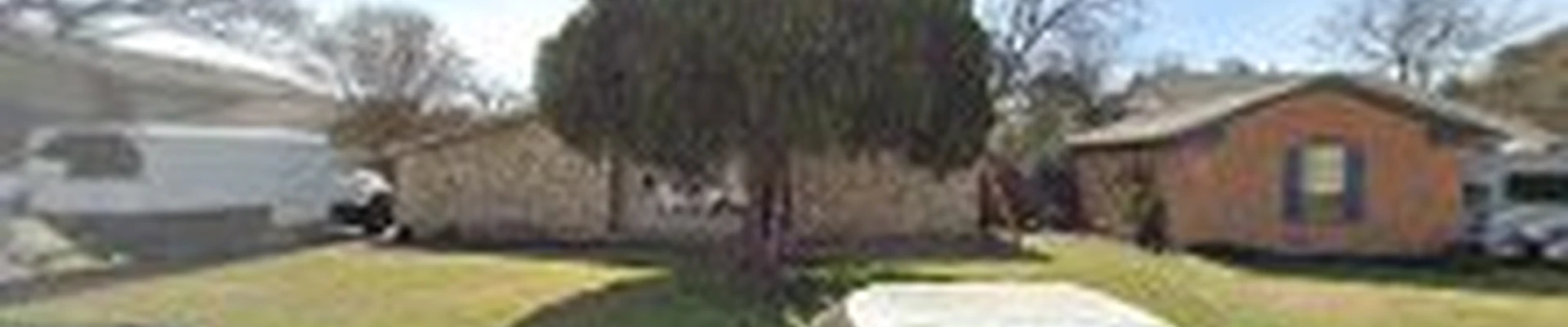 Texas Tree Techs