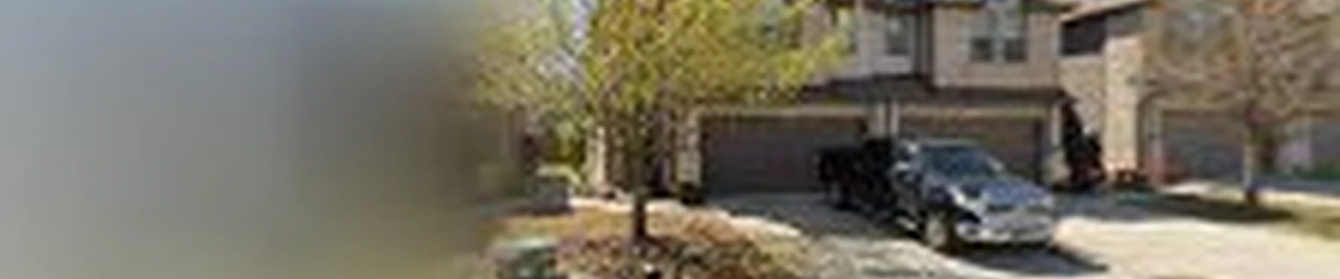 Tree Care Plano