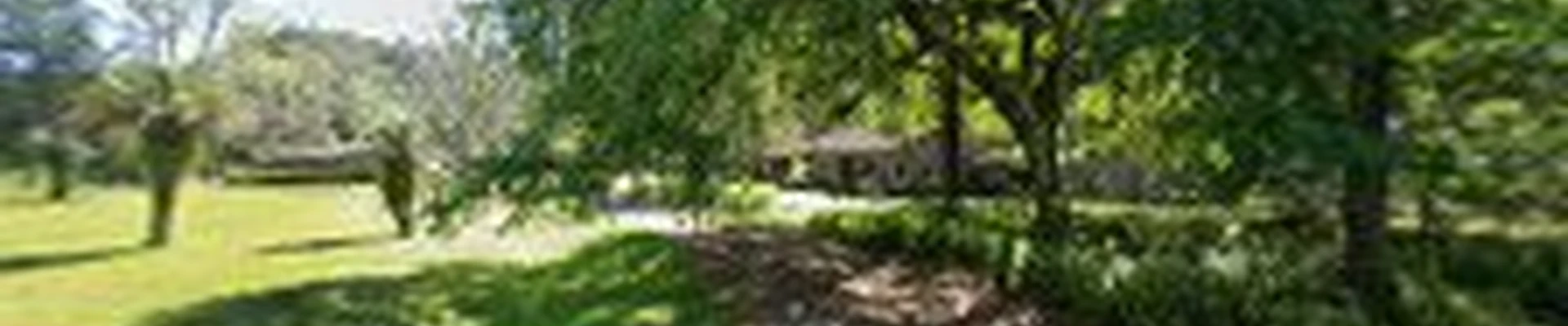 Duce Tree Service Inc