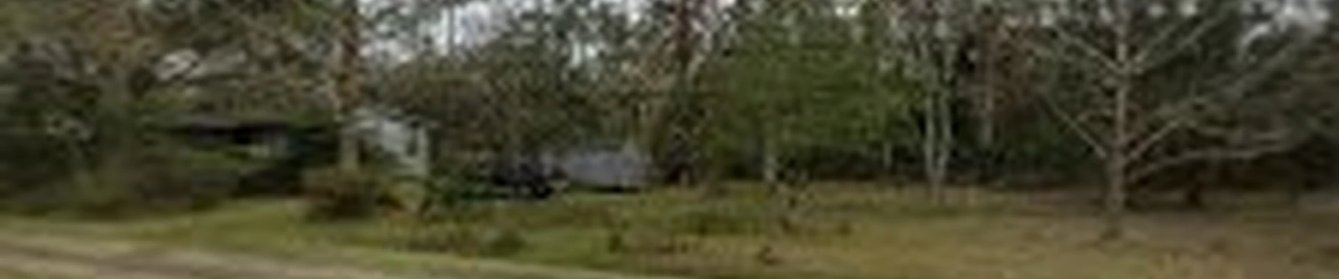 Palm Down Tree Service