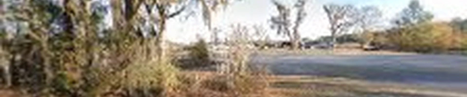 Pierce Tree Service INC