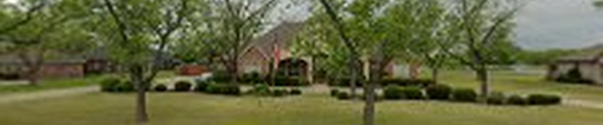 D's Trees and Property Service