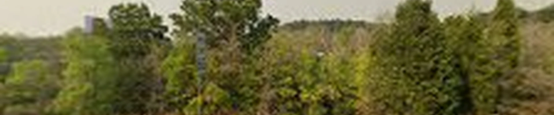 Sullins Tree Service