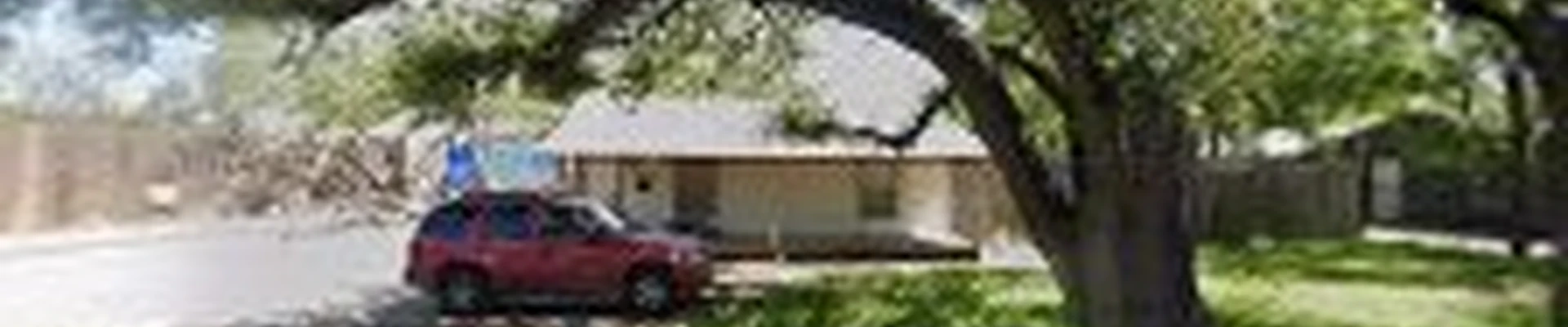 Leaf Tree Services