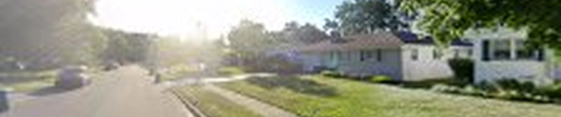 Tree.s services &landscaping