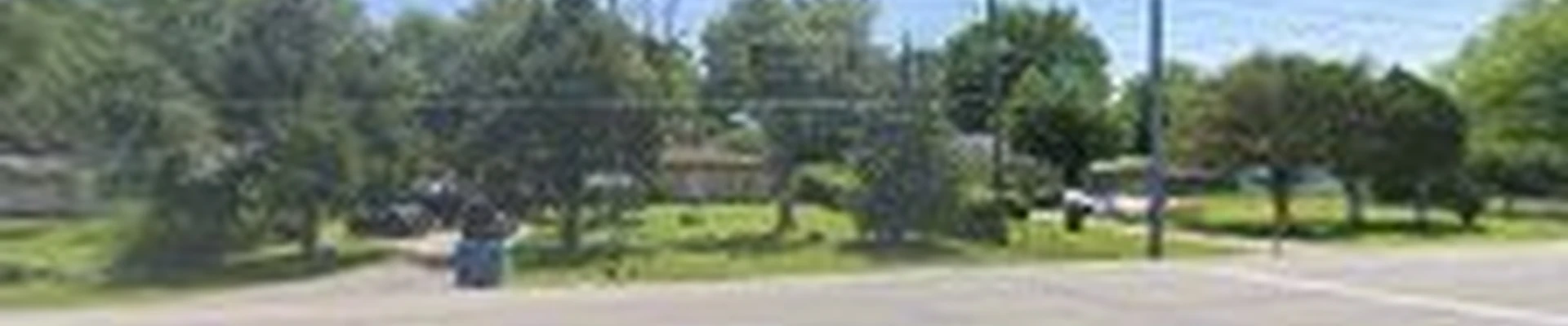 P&L Tree Service