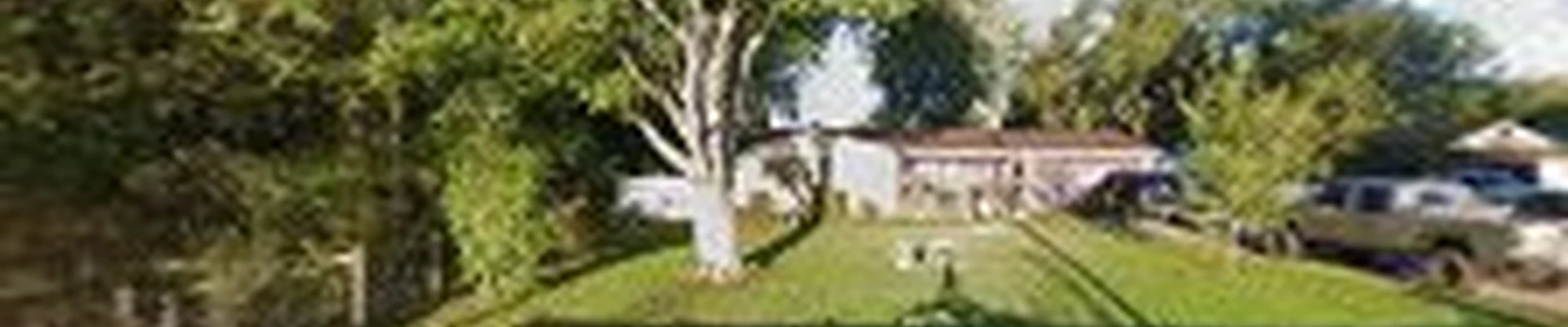 M & M Tree Service LLC