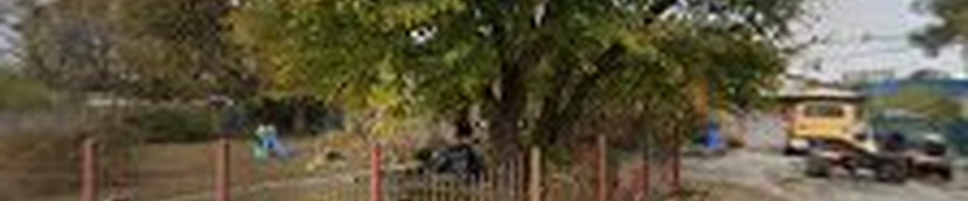 Jim's Tree Experts