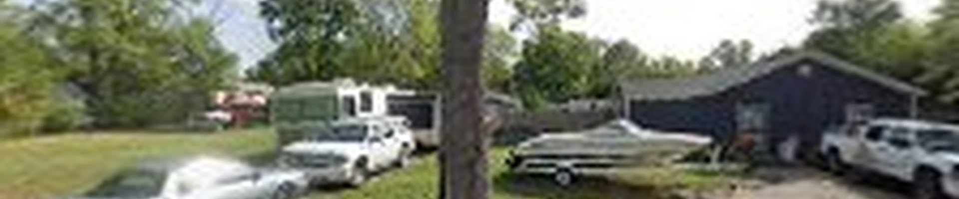 Tree Buddies Tree Service