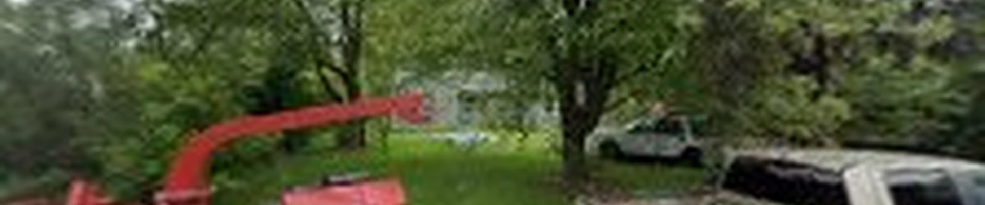 IndyArborist.com Tree Service LLC