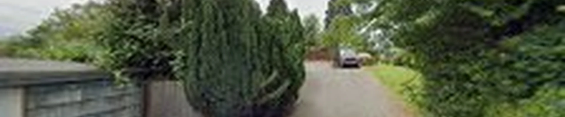 Sound Tree Care LLC