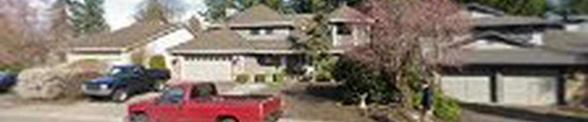 Green Leaf Tree Service