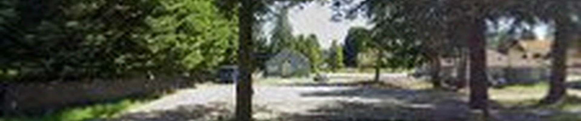 All Seasons Tree Service