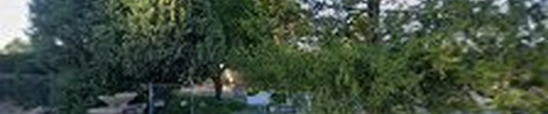 Aesthetic Tree Service, Inc.