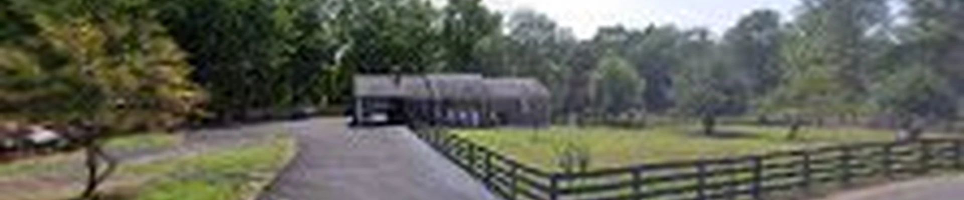 Green Tree Services