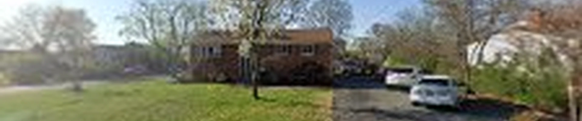 Lopez Tree Services