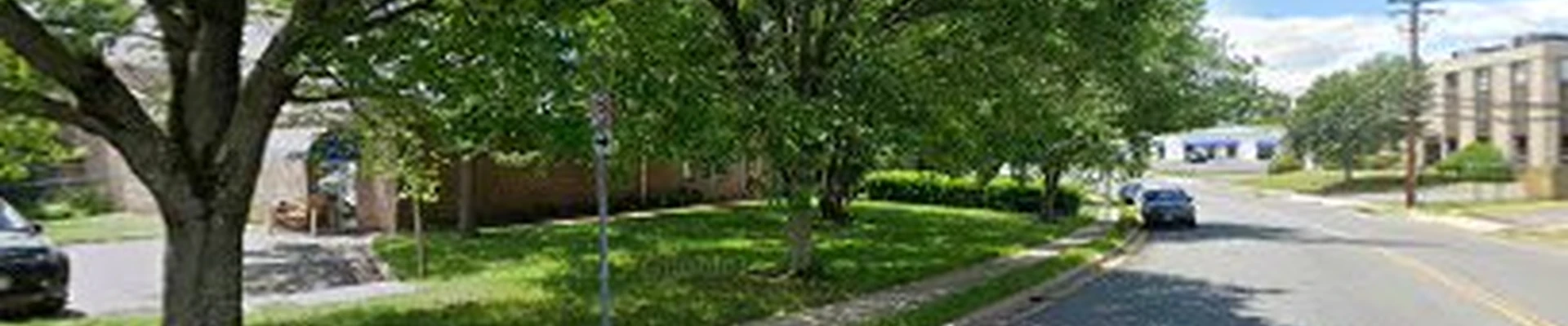 Tree Service & Removal