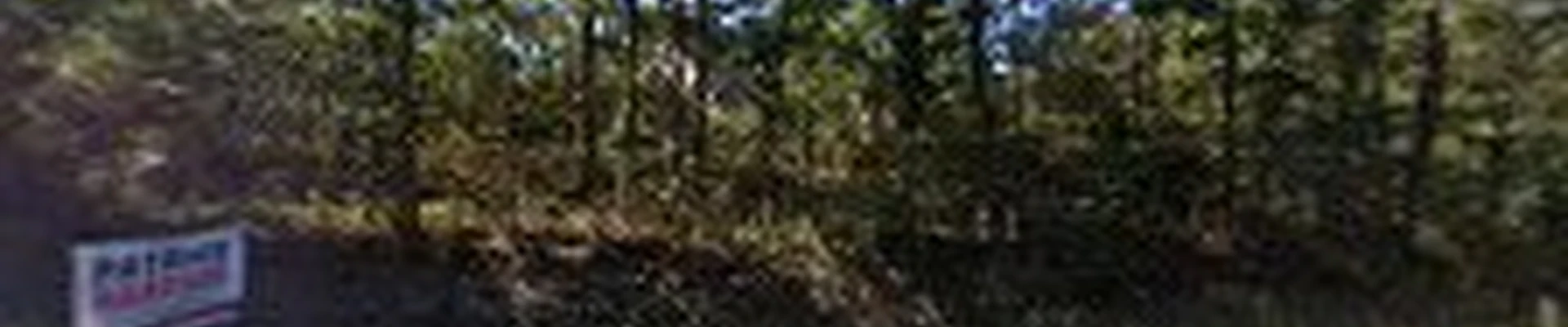 Freedom Tree Service, Inc.