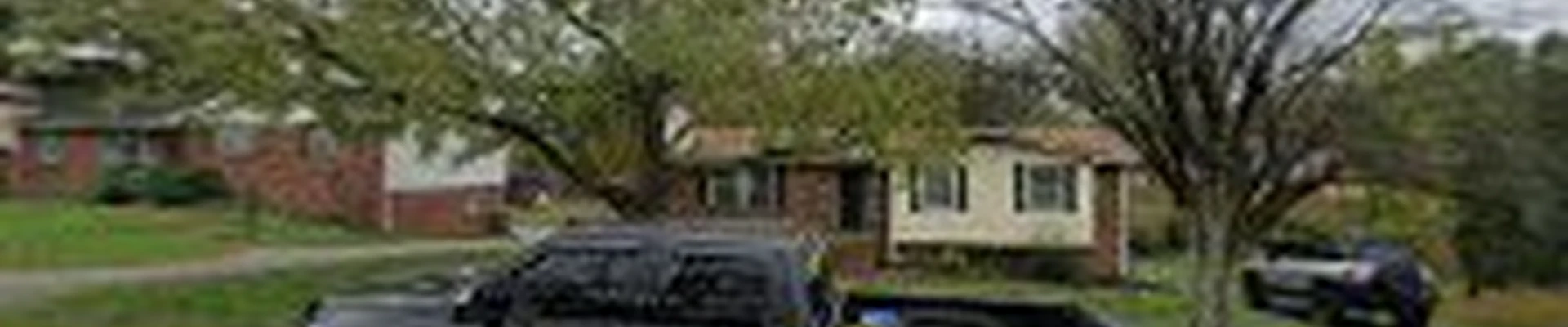 Stump Professionals, LLC
