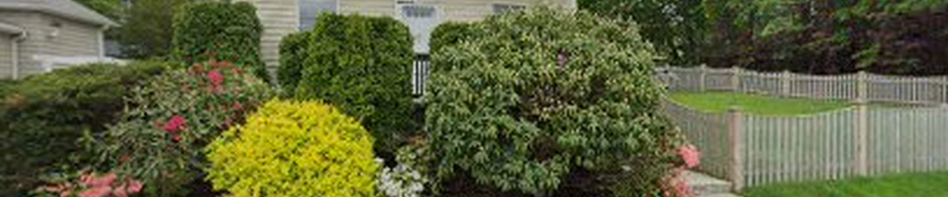 Nahant Tree Service