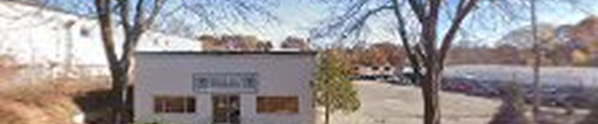 Boston Tree Preservation