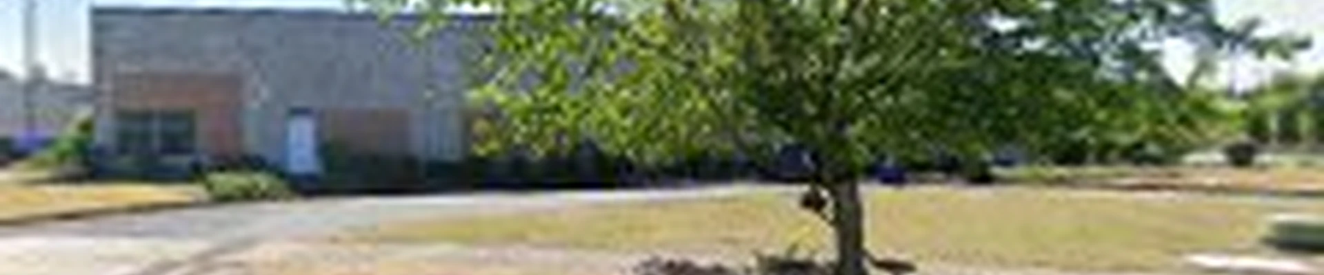 Tree Medics LLC